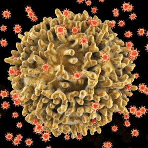 The surface of the T-cell has a lumpy appearance with large irregular surface protrusions. Smaller spherical structures on the cell surface are HIV virus particles budding away from the cell membrane. The virus has infected the T-cell, and instructed the cell to reproduce many more viruses.