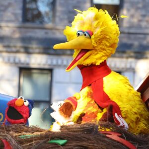Sesame Street characters Big Bird and Elmo on a float during a Thanksgiving Day parade.