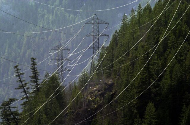 388423 16: Power lines carry electricity near Diablo Dam, April 15, 2001, near the North Cascades National Park, WA, but scant snow and rain is keeping the region's hydroelectric plants scrambling to produce enough energy for their own state's needs, leaving no extra electricity to bail California out of its energy crisis this summer. (Photo by David McNew/Newsmakers)