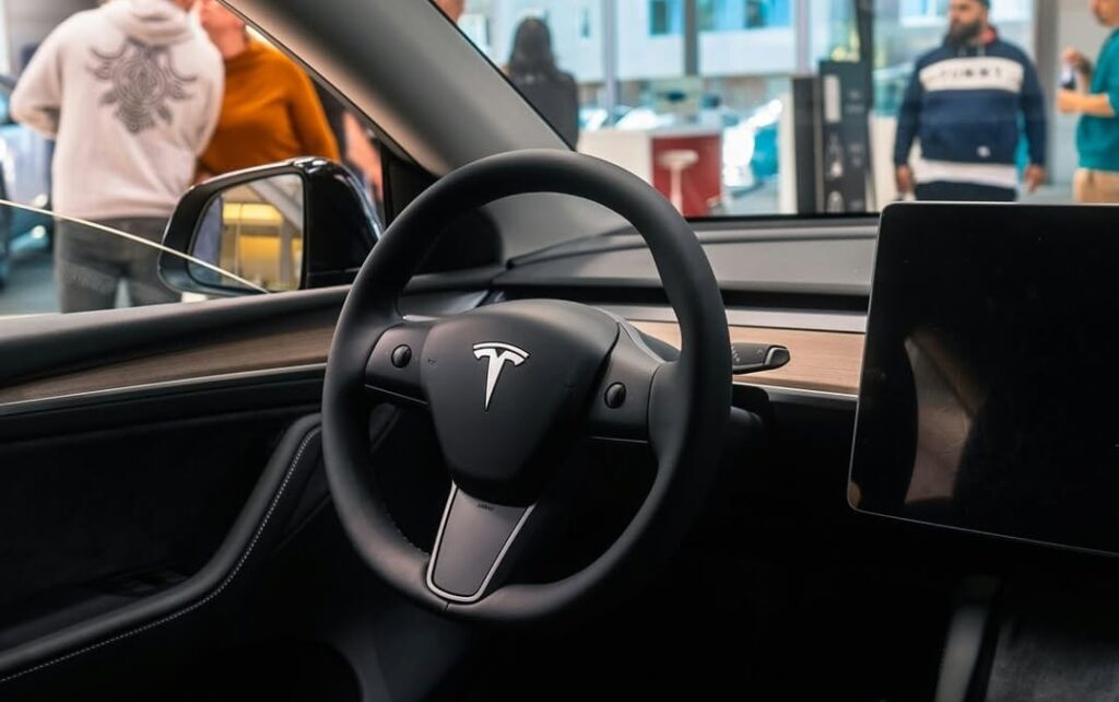 Tesla Model Y Launch in India